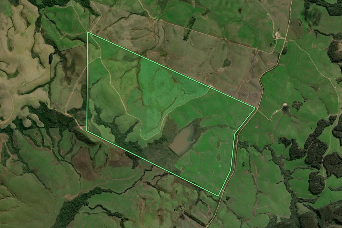 Imagem de satélite do imóvel rural em Cachoeira do Sul (RS), com o contorno declarado no CAR desenhado por cima.