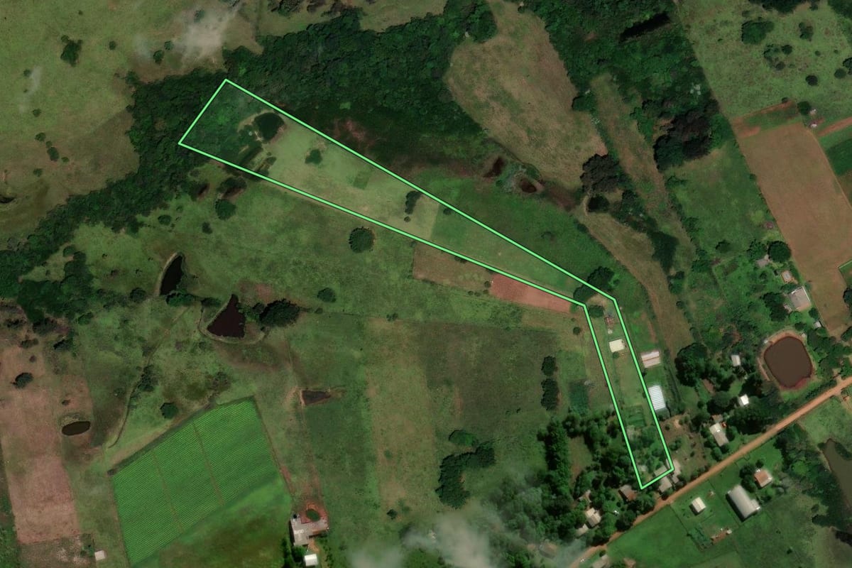 Imagem de satélite do imóvel rural em Cachoeira do Sul (RS), com o contorno declarado no CAR desenhado por cima.