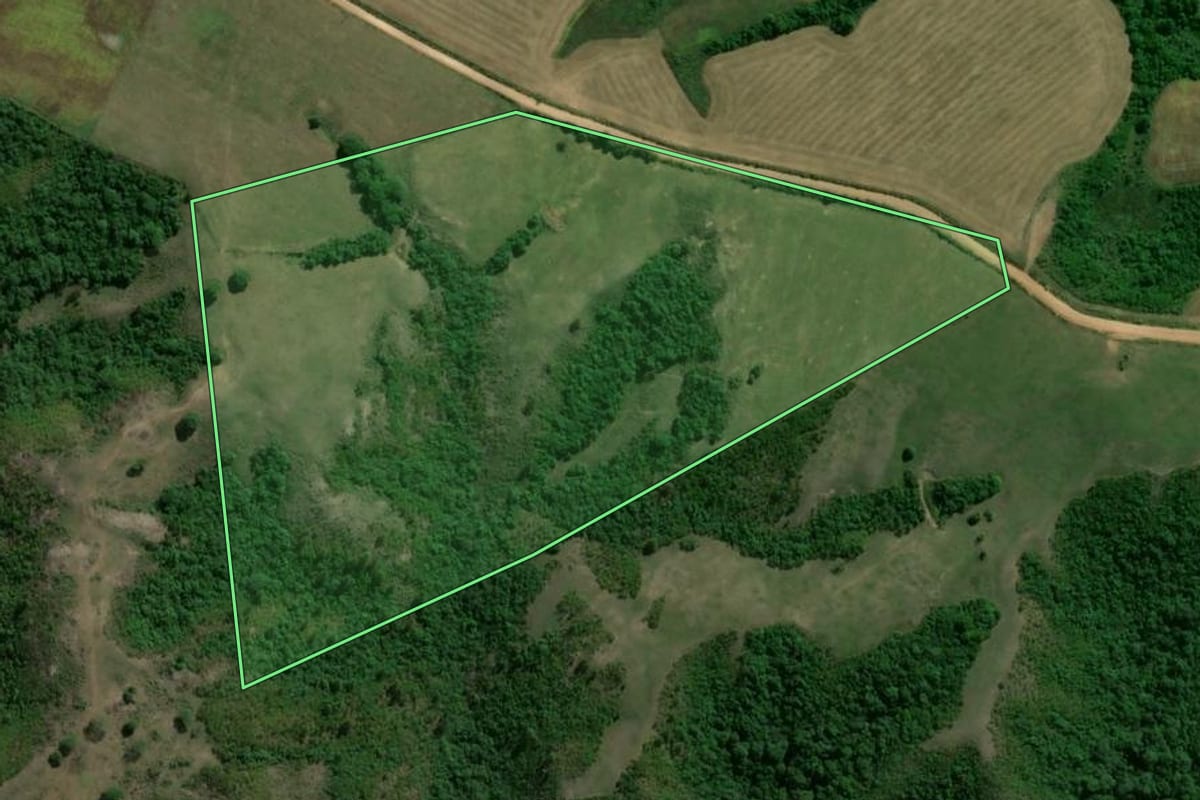 Imagem de satélite do imóvel rural em Cachoeira do Sul (RS), com o contorno declarado no CAR desenhado por cima.