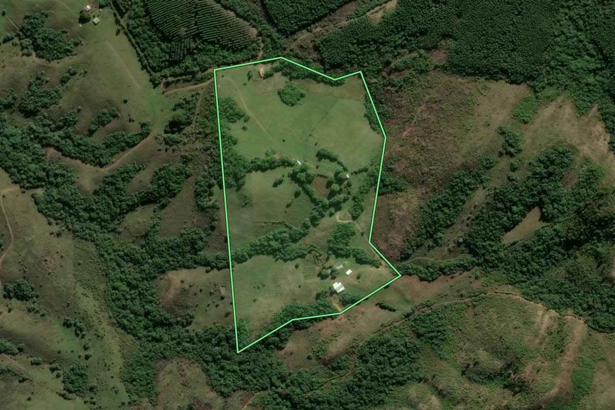 Imagem de satélite do imóvel rural em Cachoeira do Sul (RS), com o contorno declarado no CAR desenhado por cima.
