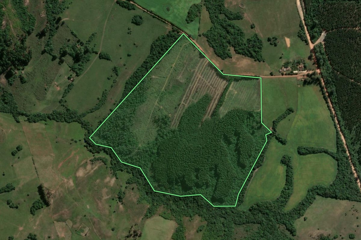Imagem de satélite do imóvel rural em Cachoeira do Sul (RS), com o contorno declarado no CAR desenhado por cima.