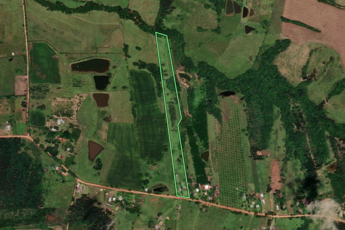 Imagem de satélite do imóvel rural em Cachoeira do Sul (RS), com o contorno declarado no CAR desenhado por cima.