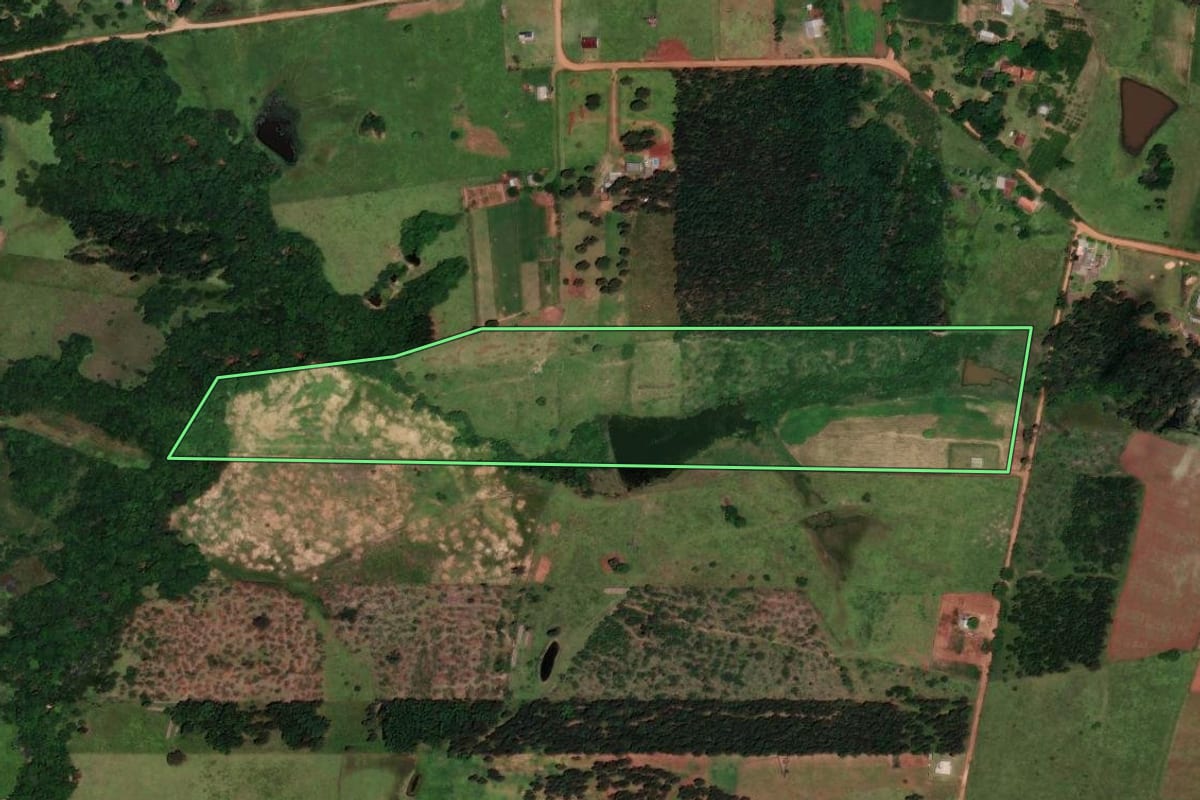 Imagem de satélite do imóvel rural em Cachoeira do Sul (RS), com o contorno declarado no CAR desenhado por cima.