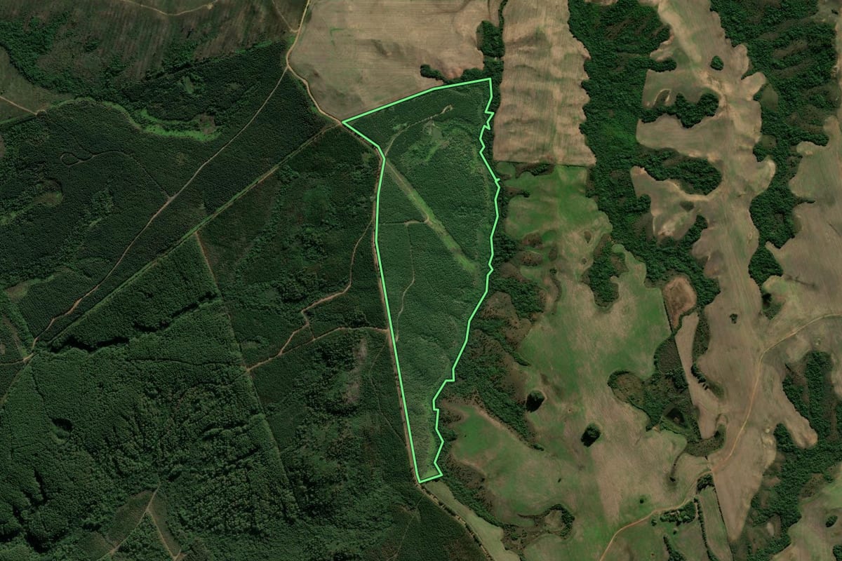 Imagem de satélite do imóvel rural em Cachoeira do Sul (RS), com o contorno declarado no CAR desenhado por cima.