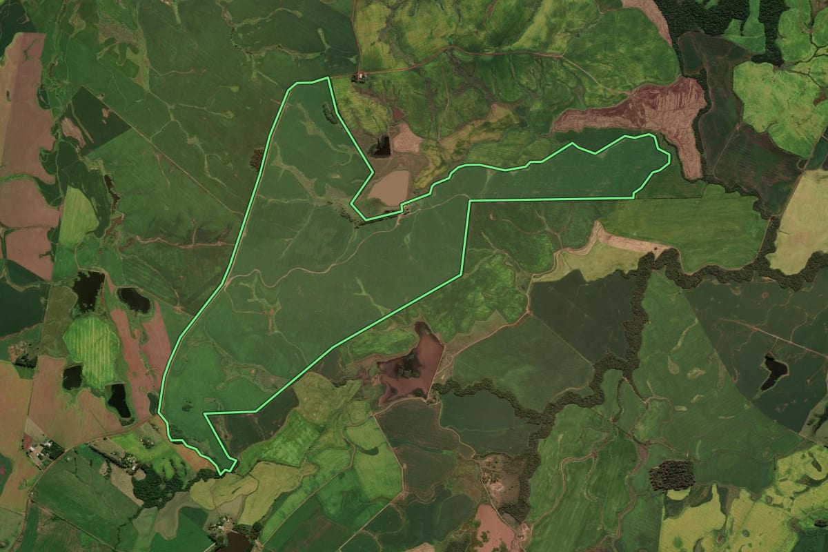 Imagem de satélite do imóvel rural em Cachoeira do Sul (RS), com o contorno declarado no CAR desenhado por cima.