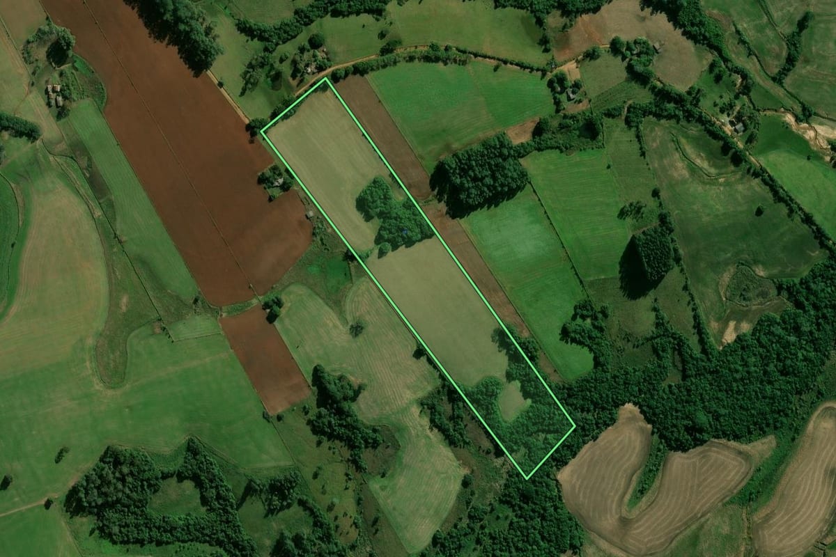Imagem de satélite do imóvel rural em Cachoeira do Sul (RS), com o contorno declarado no CAR desenhado por cima.