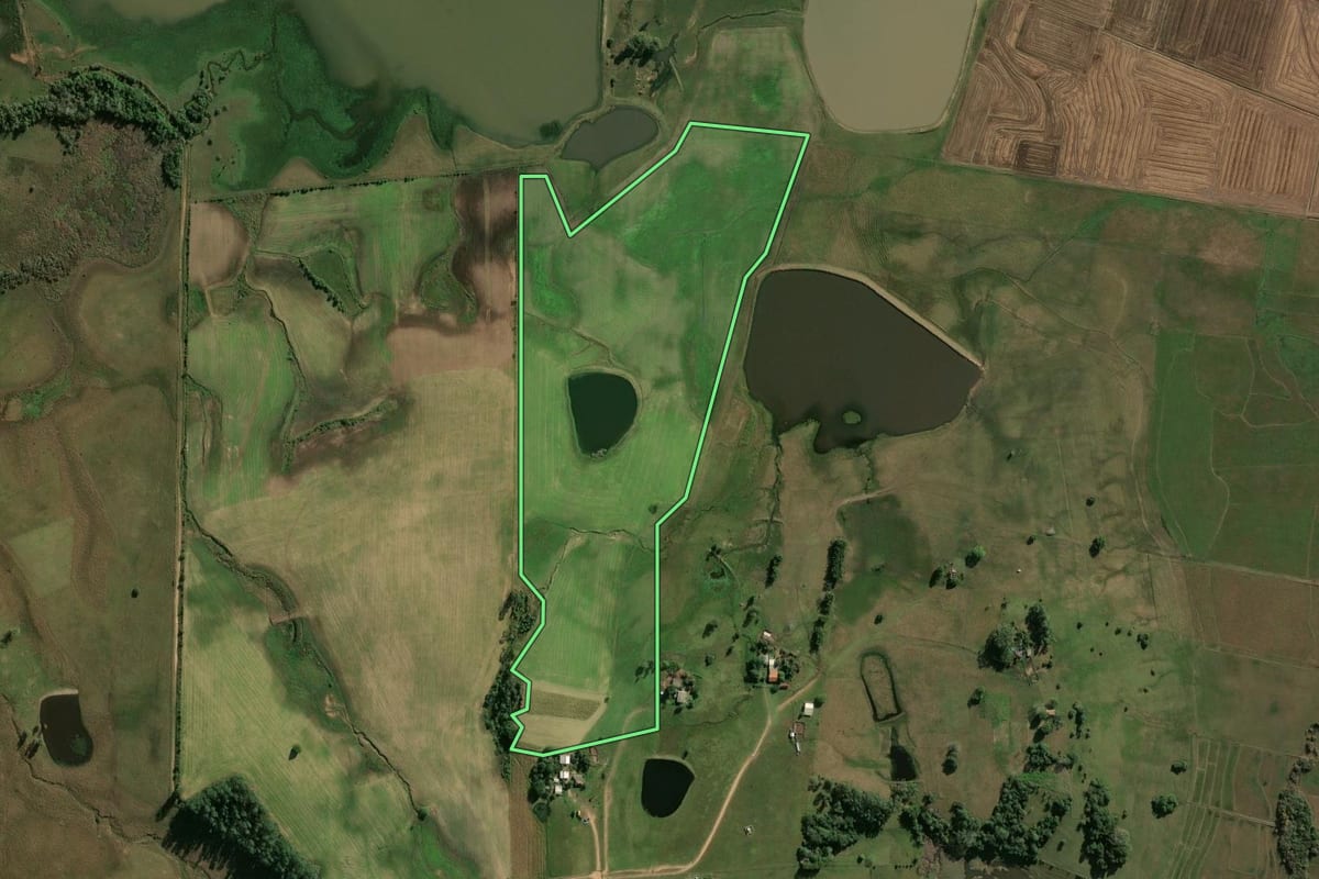 Imagem de satélite do imóvel rural em Cachoeira do Sul (RS), com o contorno declarado no CAR desenhado por cima.