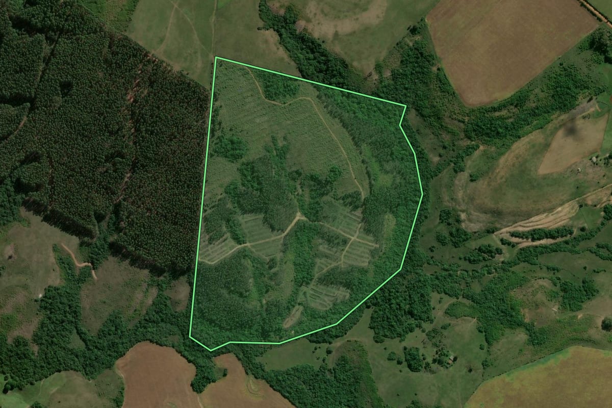 Imagem de satélite do imóvel rural em Cachoeira do Sul (RS), com o contorno declarado no CAR desenhado por cima.