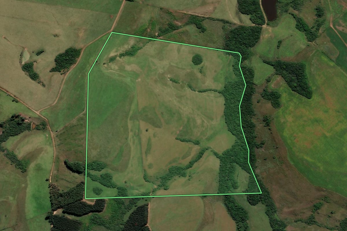 Imagem de satélite do imóvel rural em Cachoeira do Sul (RS), com o contorno declarado no CAR desenhado por cima.