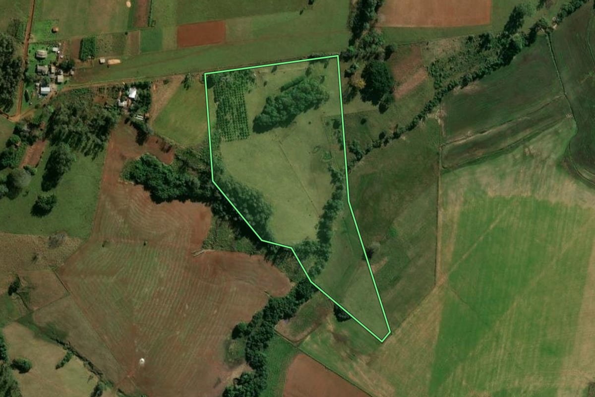 Imagem de satélite do imóvel rural em Cachoeira do Sul (RS), com o contorno declarado no CAR desenhado por cima.