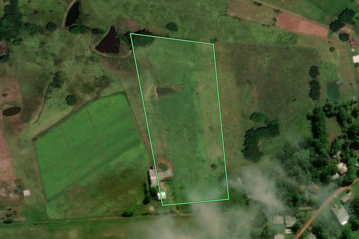 Imagem de satélite do imóvel rural em Cachoeira do Sul (RS), com o contorno declarado no CAR desenhado por cima.