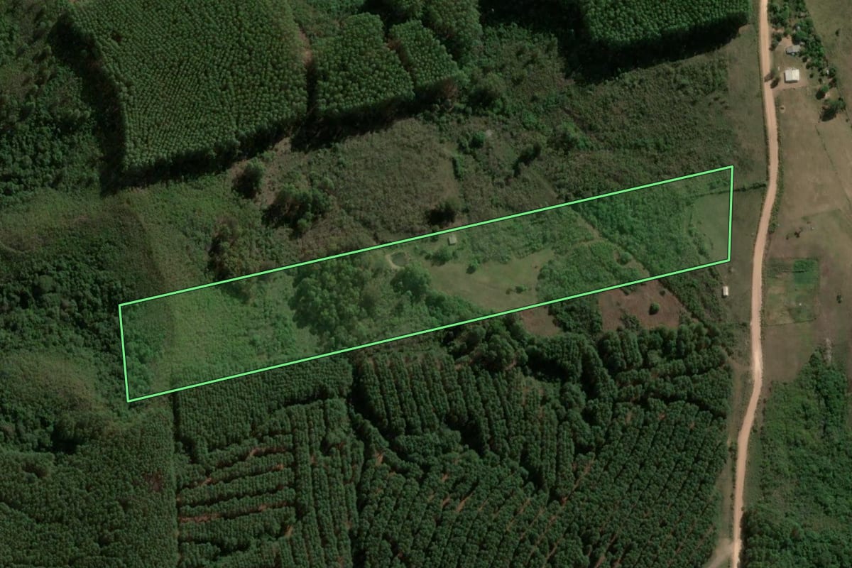 Imagem de satélite do imóvel rural em Cachoeira do Sul (RS), com o contorno declarado no CAR desenhado por cima.