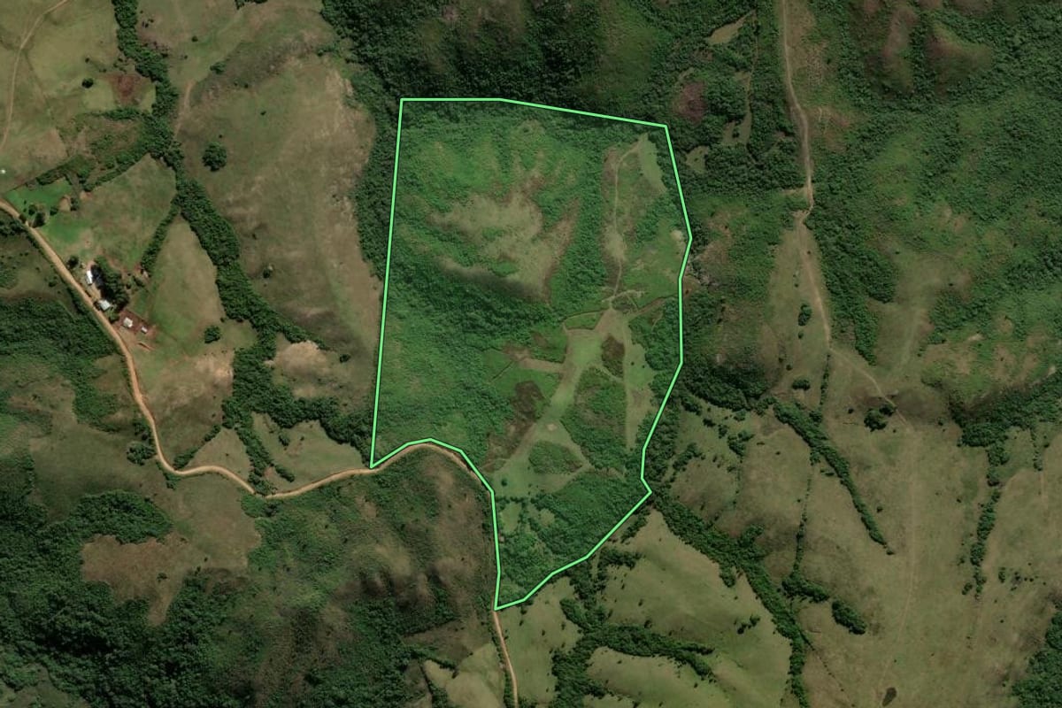 Imagem de satélite do imóvel rural em Cachoeira do Sul (RS), com o contorno declarado no CAR desenhado por cima.
