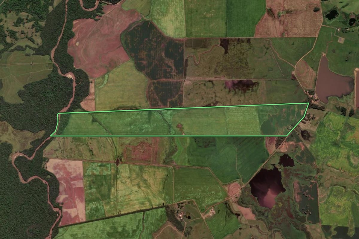 Imagem de satélite do imóvel rural em Cachoeira do Sul (RS), com o contorno declarado no CAR desenhado por cima.