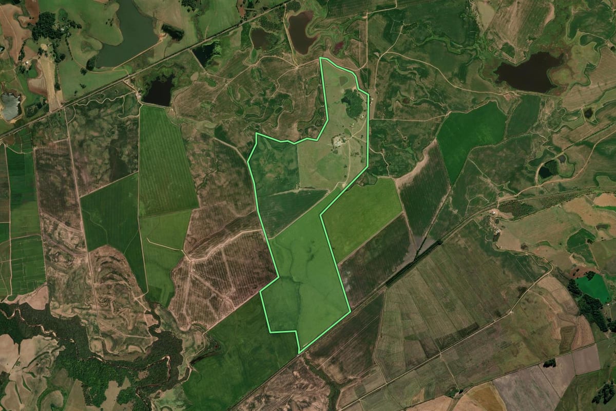 Imagem de satélite do imóvel rural em Cachoeira do Sul (RS), com o contorno declarado no CAR desenhado por cima.