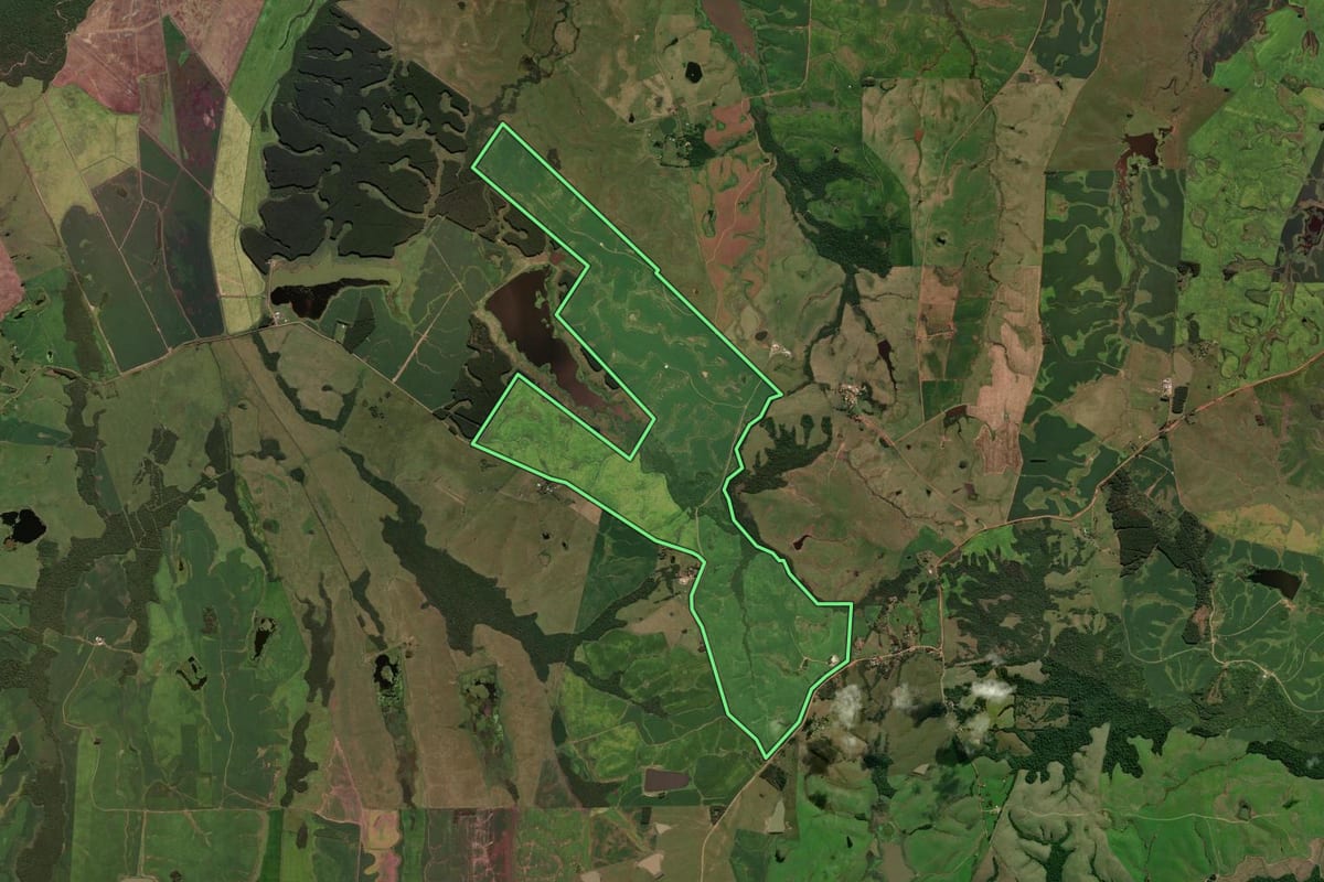 Imagem de satélite do imóvel rural em Cachoeira do Sul (RS), com o contorno declarado no CAR desenhado por cima.