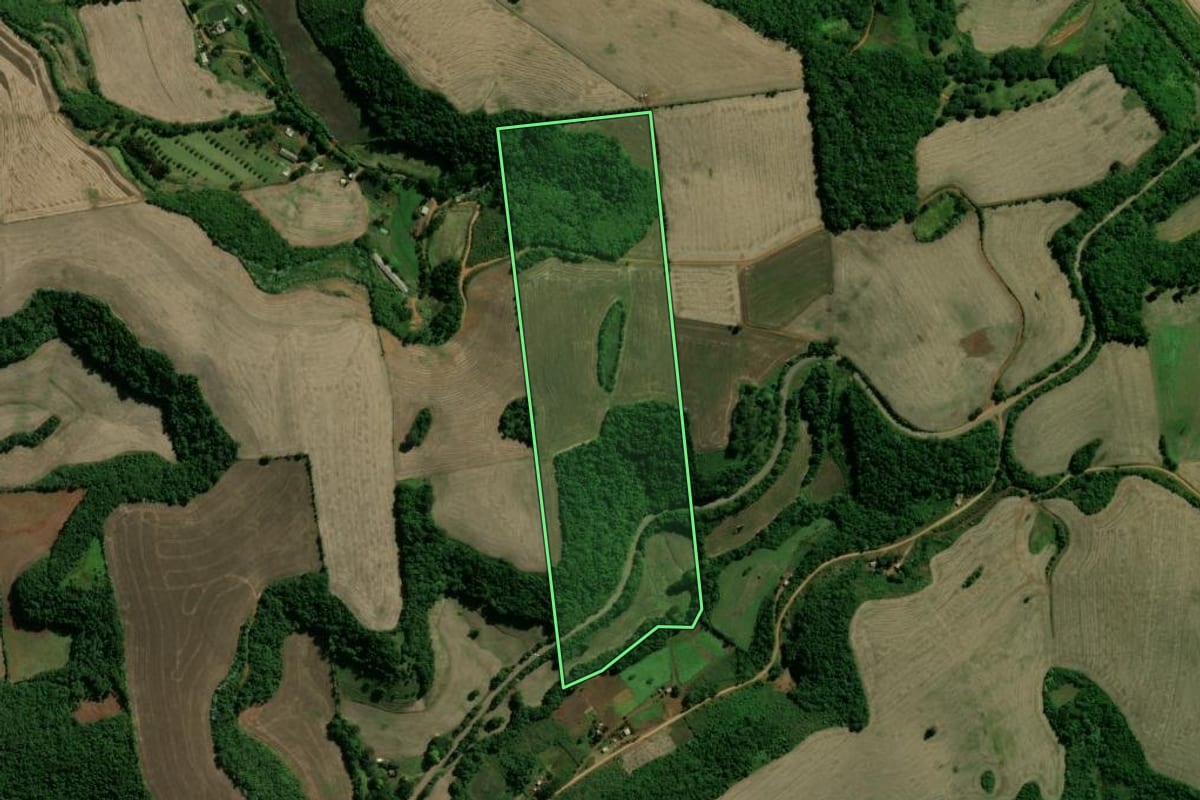 Imagem de satélite do imóvel rural em Cacique Doble (RS), com o contorno declarado no CAR desenhado por cima.