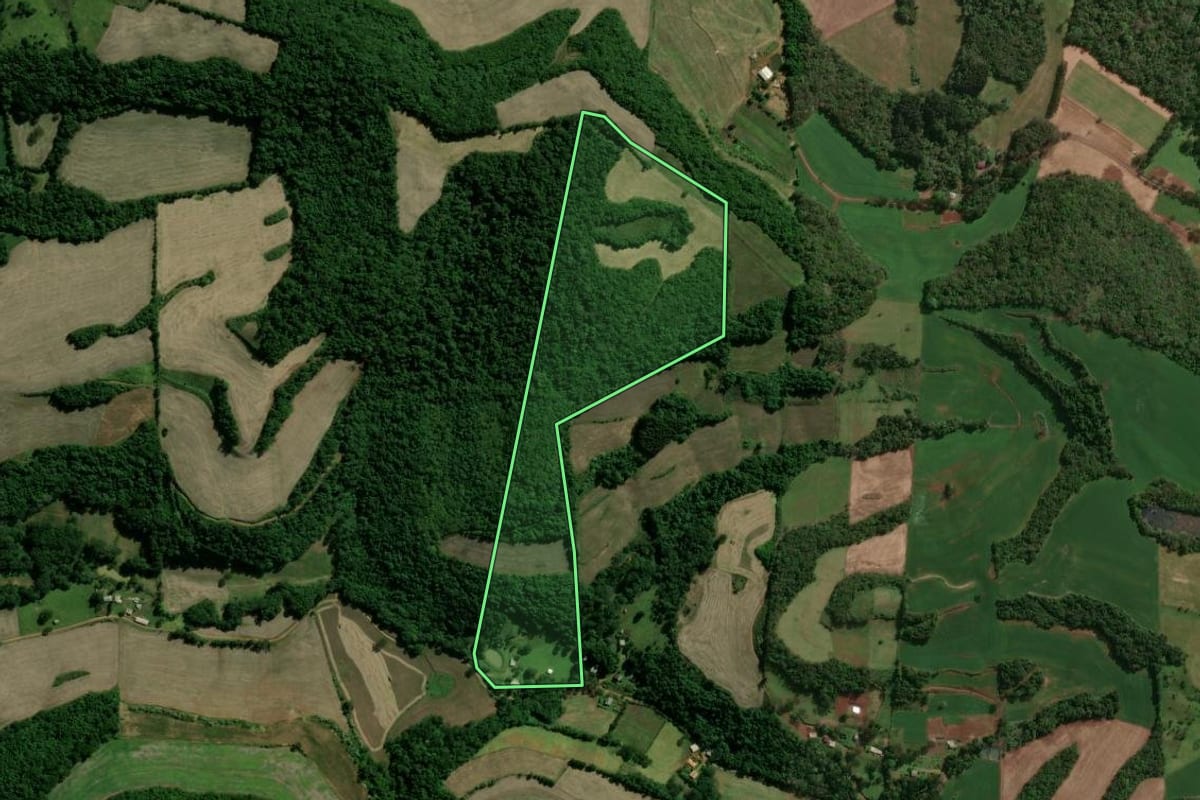 Imagem de satélite do imóvel rural em Cacique Doble (RS), com o contorno declarado no CAR desenhado por cima.