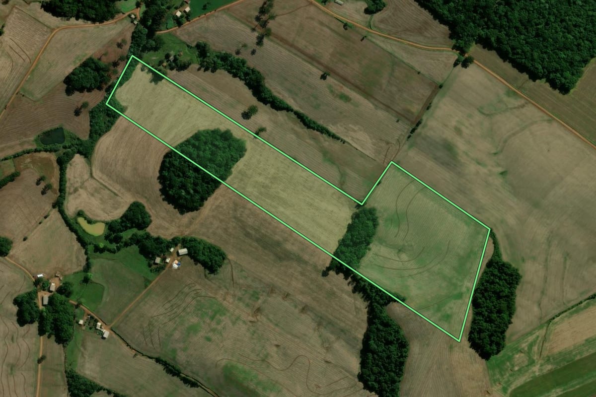 Imagem de satélite do imóvel rural em Cacique Doble (RS), com o contorno declarado no CAR desenhado por cima.