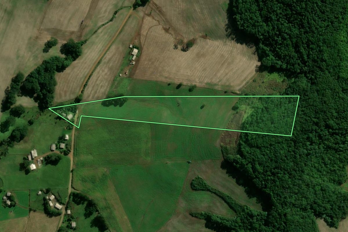 Imagem de satélite do imóvel rural em Cacique Doble (RS), com o contorno declarado no CAR desenhado por cima.
