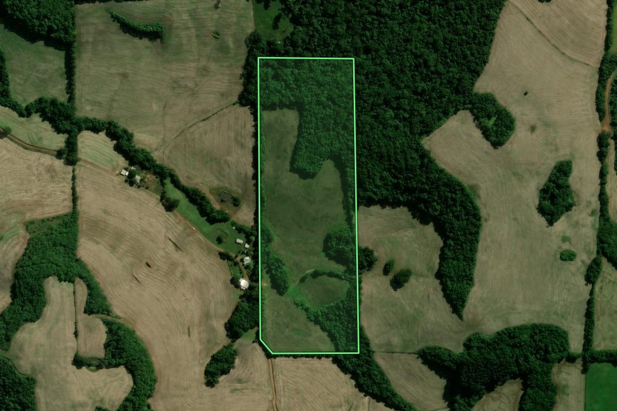 Imagem de satélite do imóvel rural em Cacique Doble (RS), com o contorno declarado no CAR desenhado por cima.