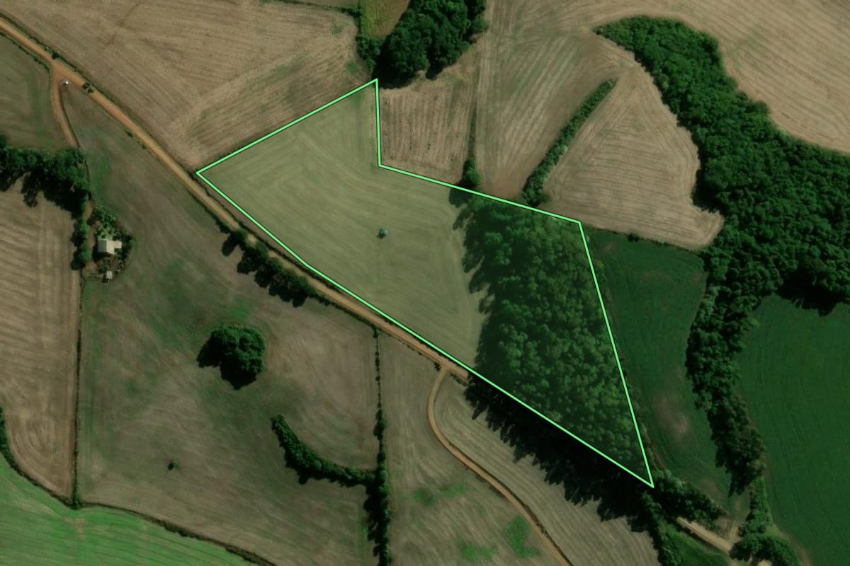 Imagem de satélite do imóvel rural em Cacique Doble (RS), com o contorno declarado no CAR desenhado por cima.