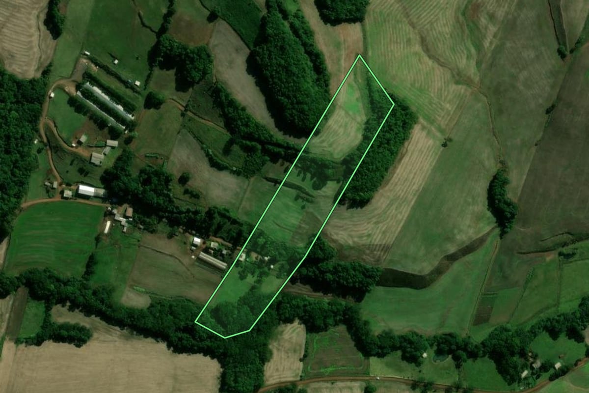 Imagem de satélite do imóvel rural em Cacique Doble (RS), com o contorno declarado no CAR desenhado por cima.