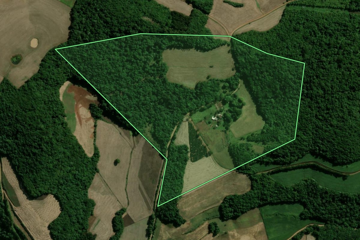 Imagem de satélite do imóvel rural em Cacique Doble (RS), com o contorno declarado no CAR desenhado por cima.