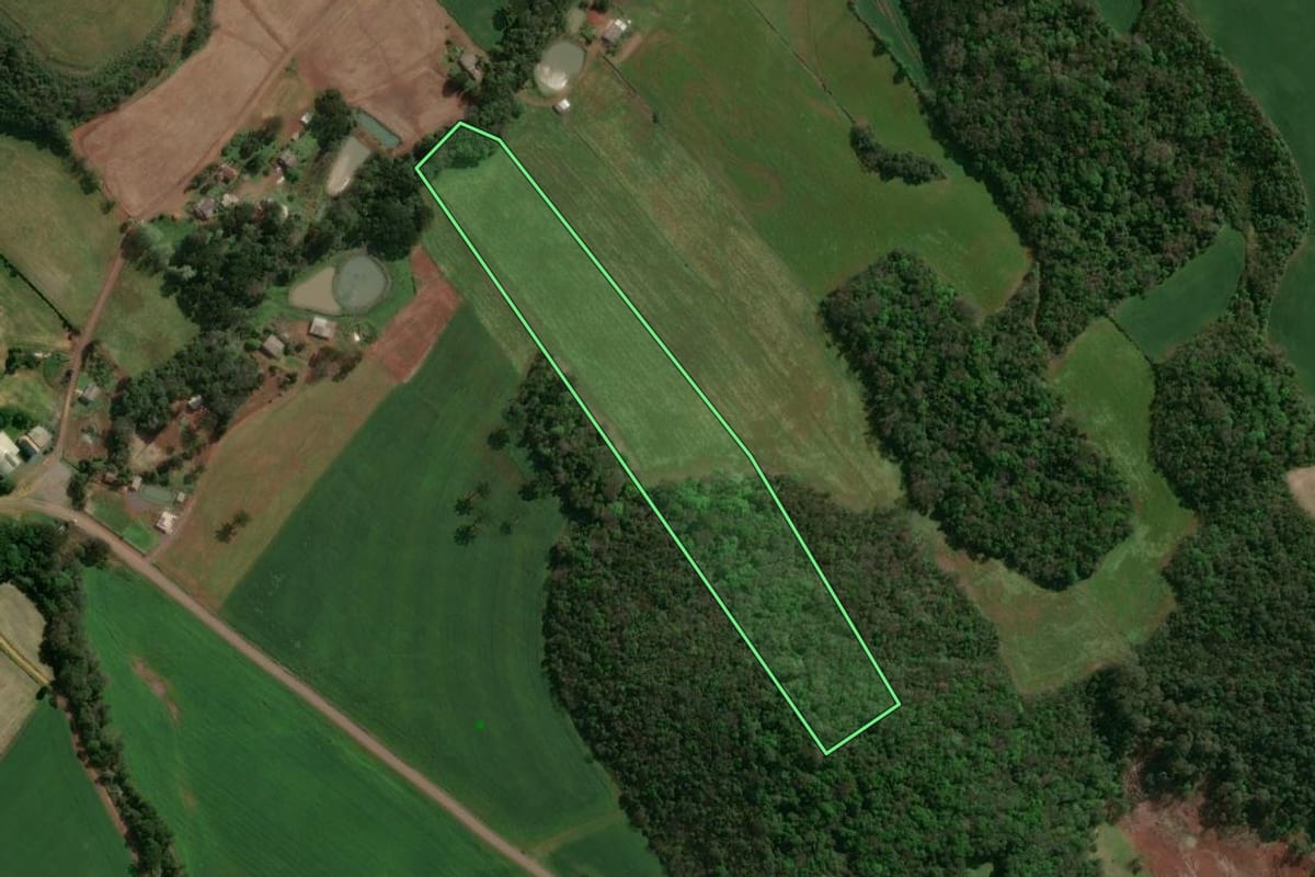 Imagem de satélite do imóvel rural em Cacique Doble (RS), com o contorno declarado no CAR desenhado por cima.