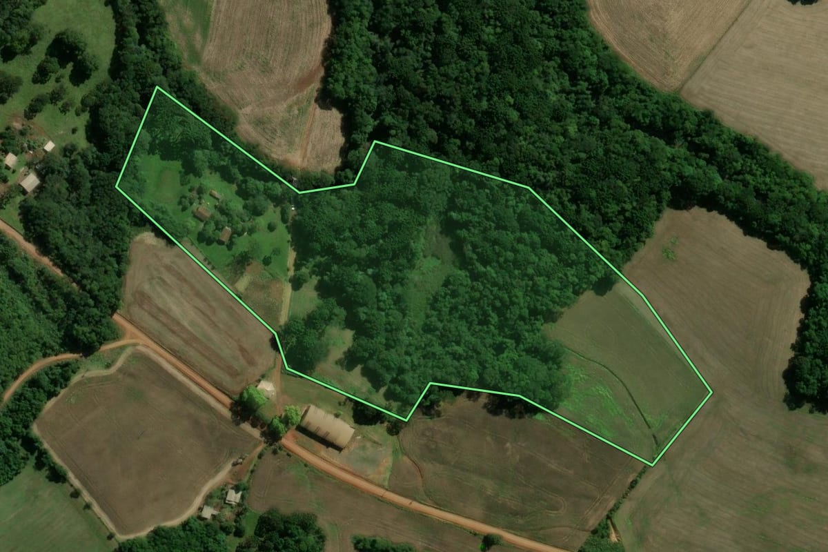 Imagem de satélite do imóvel rural em Cacique Doble (RS), com o contorno declarado no CAR desenhado por cima.