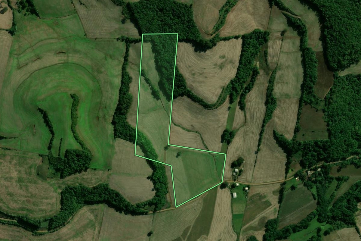 Imagem de satélite do imóvel rural em Cacique Doble (RS), com o contorno declarado no CAR desenhado por cima.