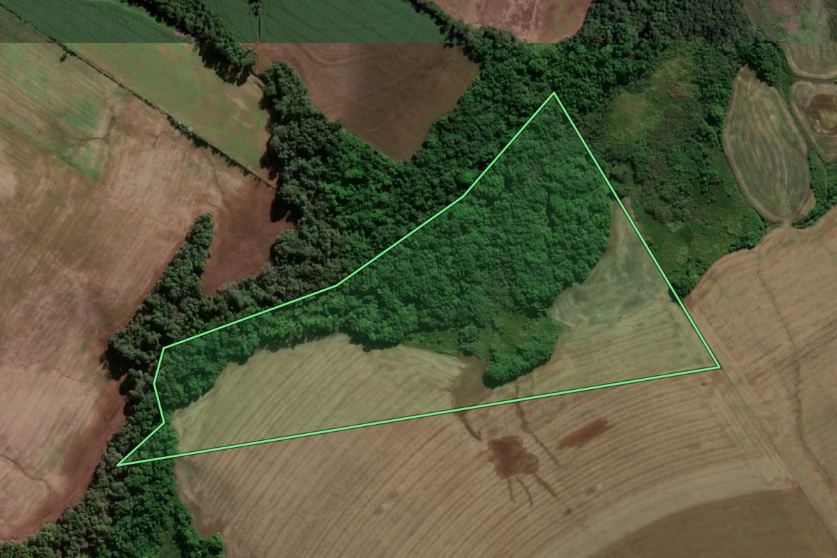 Imagem de satélite do imóvel rural em Caibaté (RS), com o contorno declarado no CAR desenhado por cima.