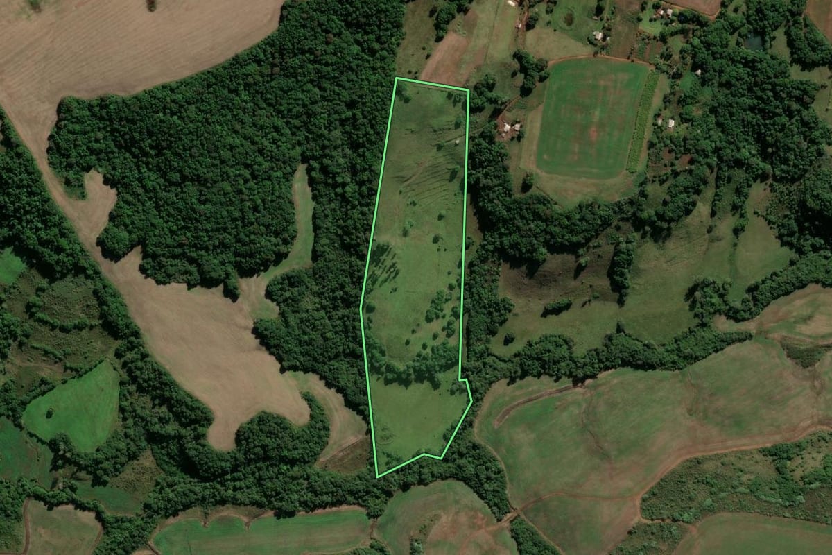 Imagem de satélite do imóvel rural em Caibaté (RS), com o contorno declarado no CAR desenhado por cima.