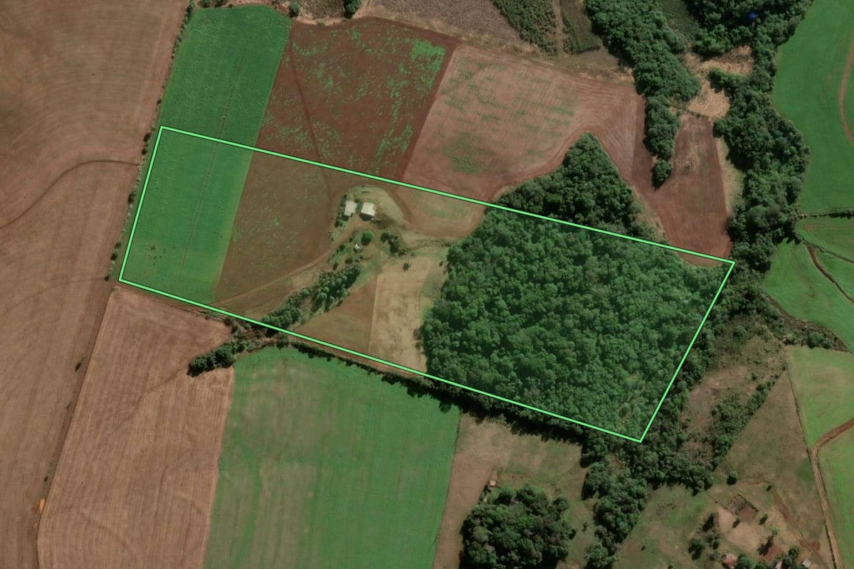 Imagem de satélite do imóvel rural em Caibaté (RS), com o contorno declarado no CAR desenhado por cima.