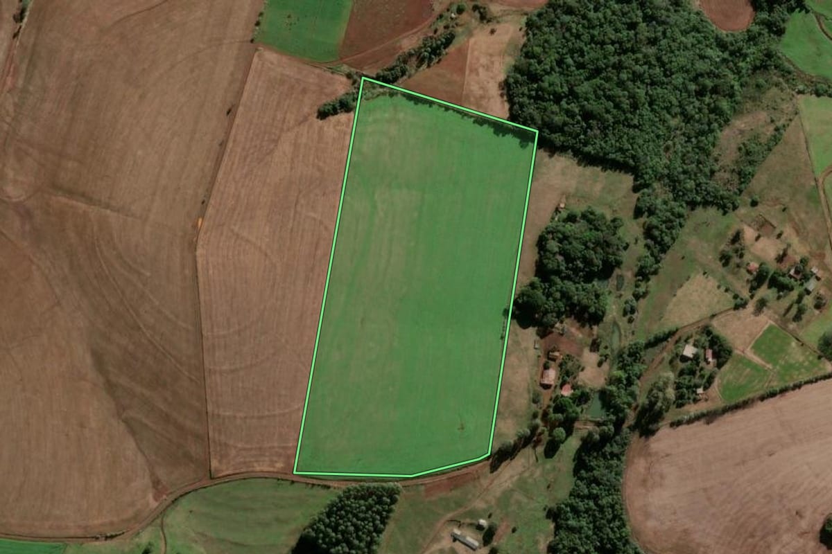 Imagem de satélite do imóvel rural em Caibaté (RS), com o contorno declarado no CAR desenhado por cima.