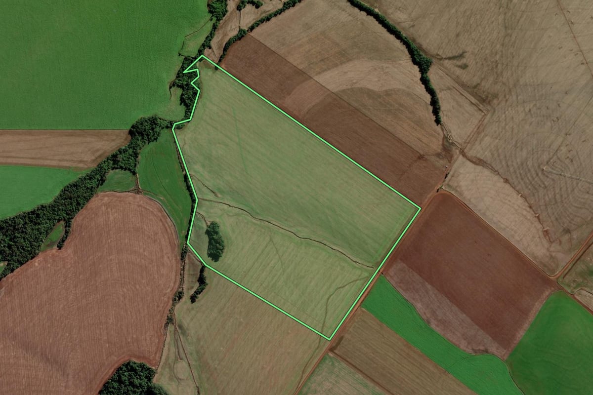 Imagem de satélite do imóvel rural em Caibaté (RS), com o contorno declarado no CAR desenhado por cima.