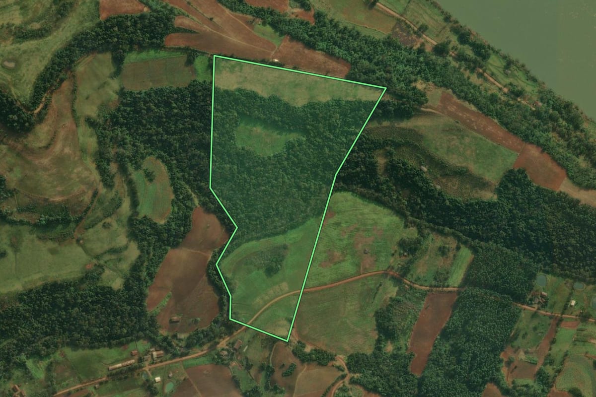 Imagem de satélite do imóvel rural em Caiçara (RS), com o contorno declarado no CAR desenhado por cima.