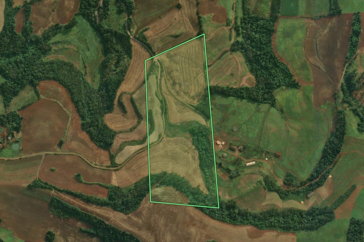 Imagem de satélite do imóvel rural em Caiçara (RS), com o contorno declarado no CAR desenhado por cima.
