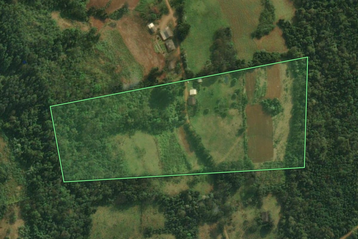 Imagem de satélite do imóvel rural em Caiçara (RS), com o contorno declarado no CAR desenhado por cima.