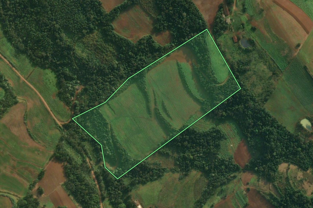 Imagem de satélite do imóvel rural em Caiçara (RS), com o contorno declarado no CAR desenhado por cima.