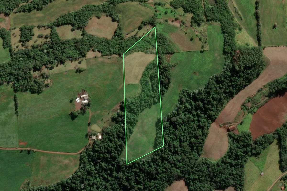 Imagem de satélite do imóvel rural em Caiçara (RS), com o contorno declarado no CAR desenhado por cima.