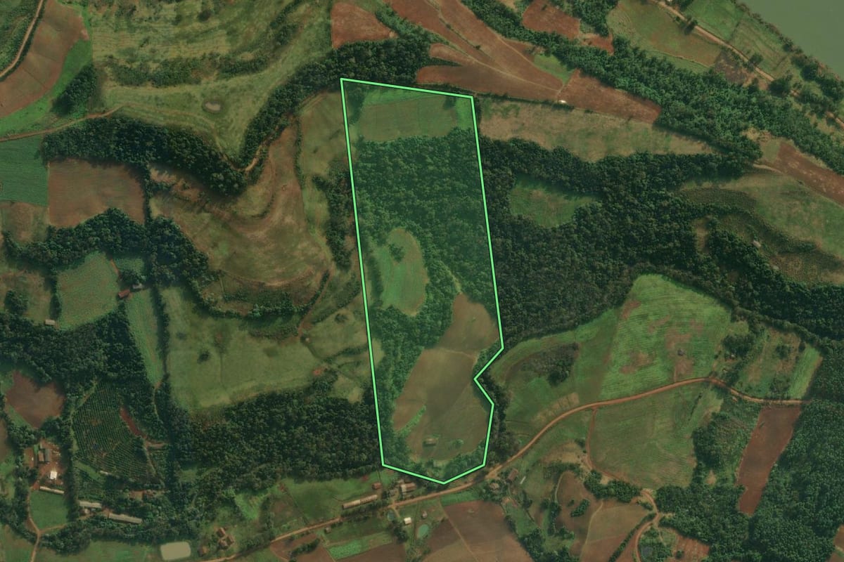 Imagem de satélite do imóvel rural em Caiçara (RS), com o contorno declarado no CAR desenhado por cima.
