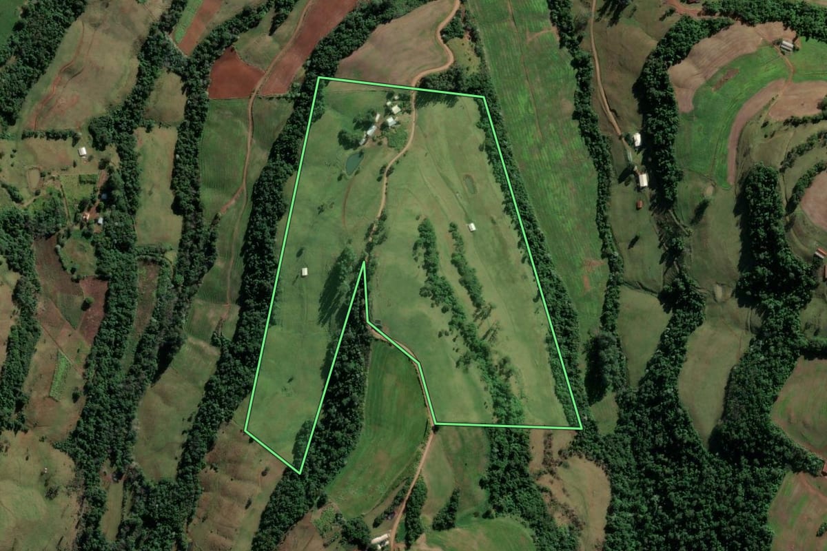 Imagem de satélite do imóvel rural em Caiçara (RS), com o contorno declarado no CAR desenhado por cima.