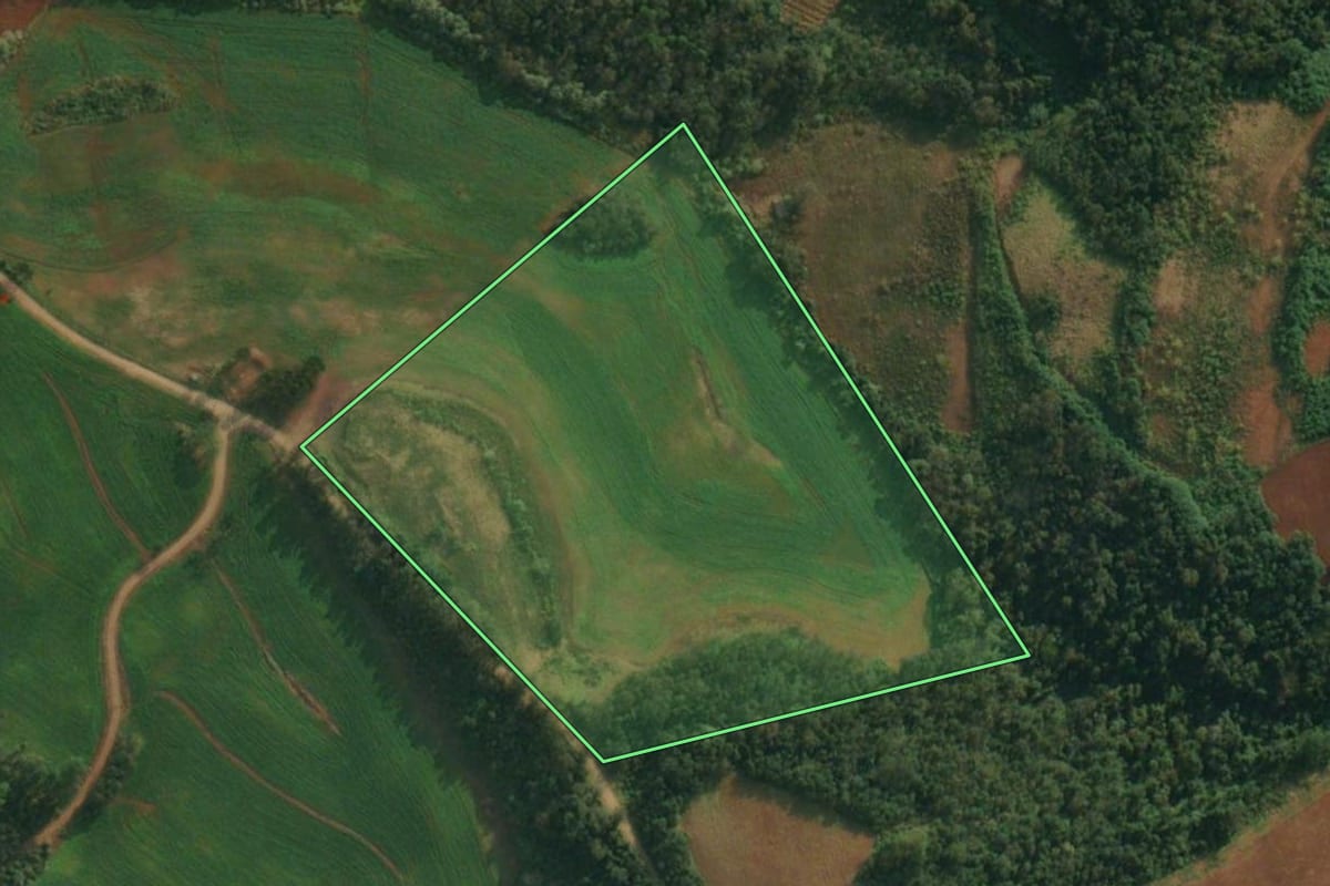 Imagem de satélite do imóvel rural em Caiçara (RS), com o contorno declarado no CAR desenhado por cima.