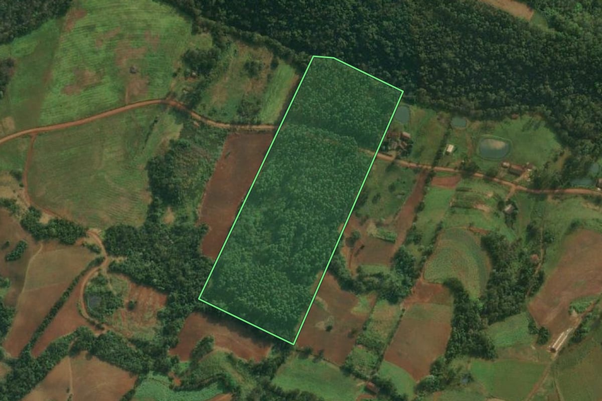 Imagem de satélite do imóvel rural em Caiçara (RS), com o contorno declarado no CAR desenhado por cima.