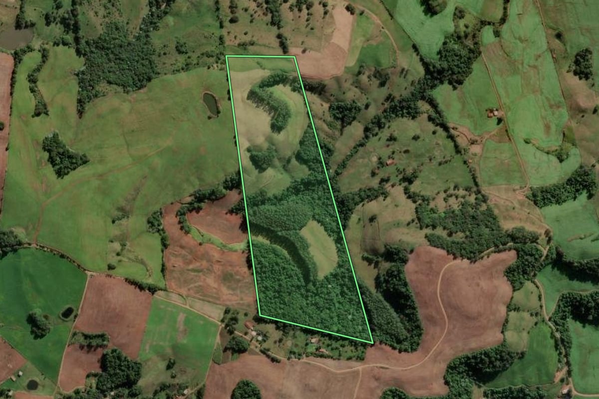 Imagem de satélite do imóvel rural em Caiçara (RS), com o contorno declarado no CAR desenhado por cima.