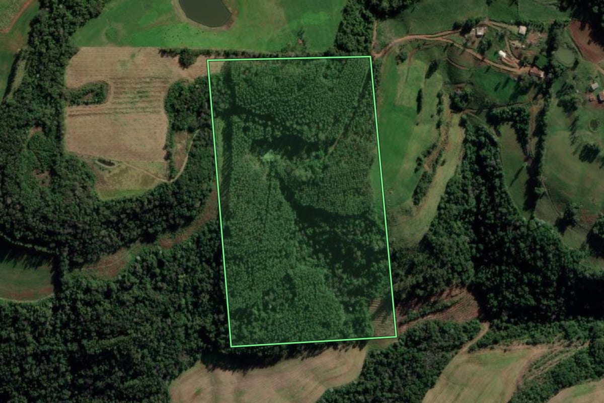 Imagem de satélite do imóvel rural em Caiçara (RS), com o contorno declarado no CAR desenhado por cima.