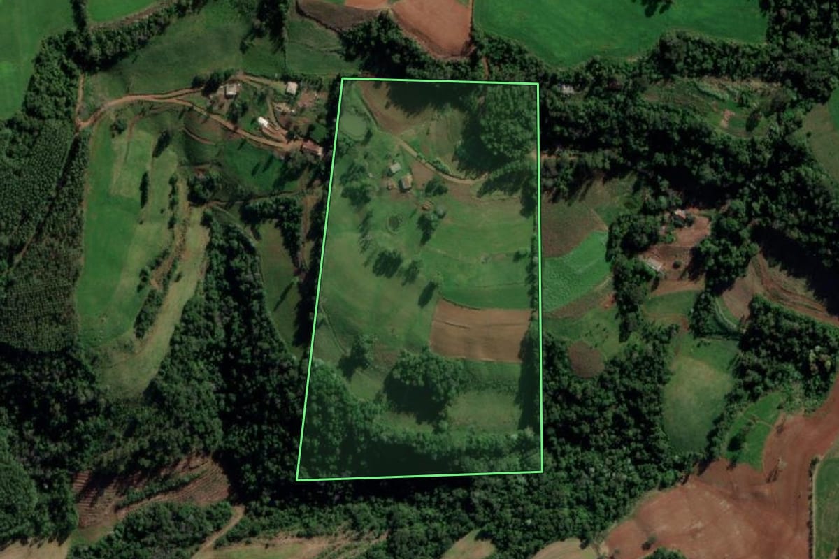 Imagem de satélite do imóvel rural em Caiçara (RS), com o contorno declarado no CAR desenhado por cima.