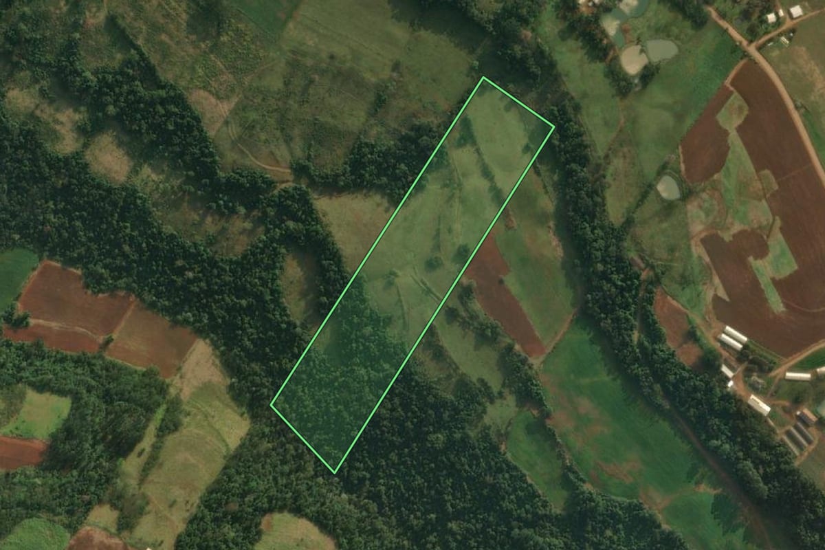 Imagem de satélite do imóvel rural em Caiçara (RS), com o contorno declarado no CAR desenhado por cima.
