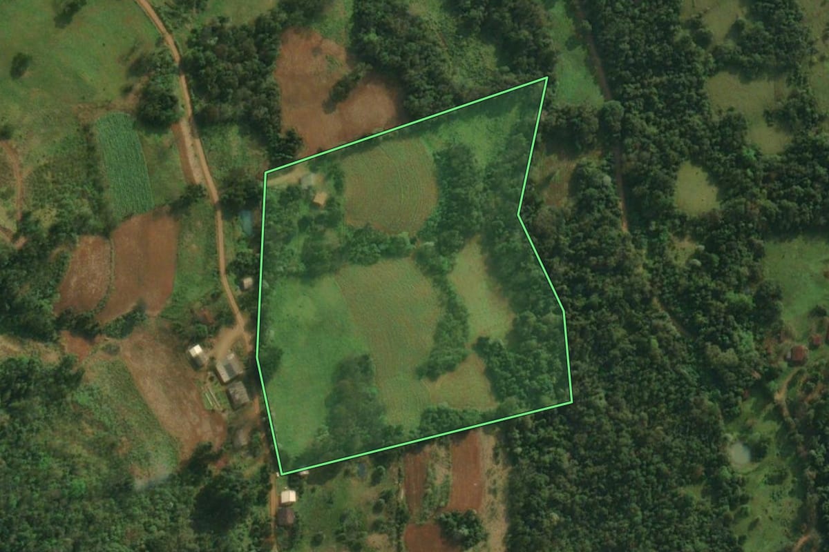 Imagem de satélite do imóvel rural em Caiçara (RS), com o contorno declarado no CAR desenhado por cima.